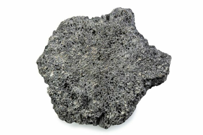 Fossil Glyptodont (Glyptotherium) Bony Armor Osteoderm - Florida #362293